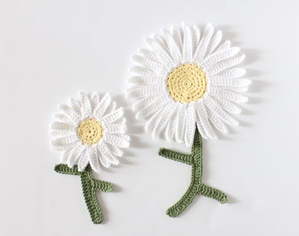 two crochet daisies laying flat on white background