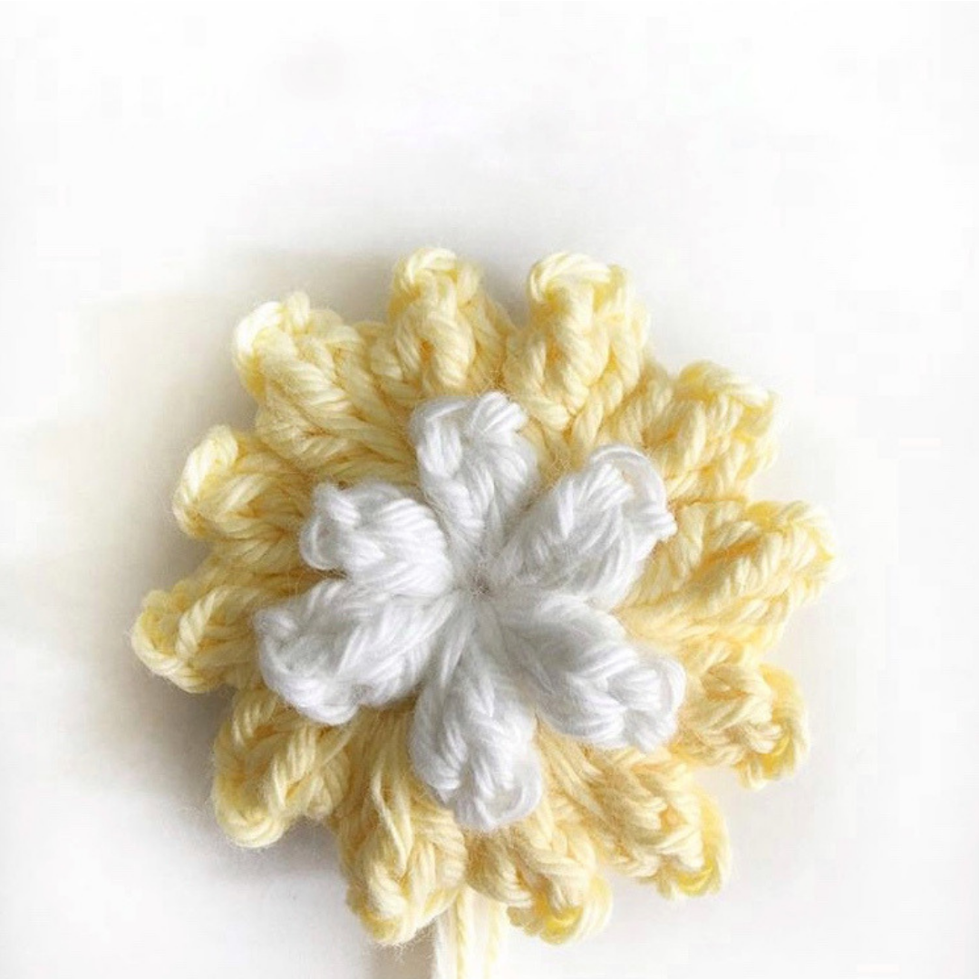 Crochet Popcorn Stitch Flower Free Pattern Best Flower Site