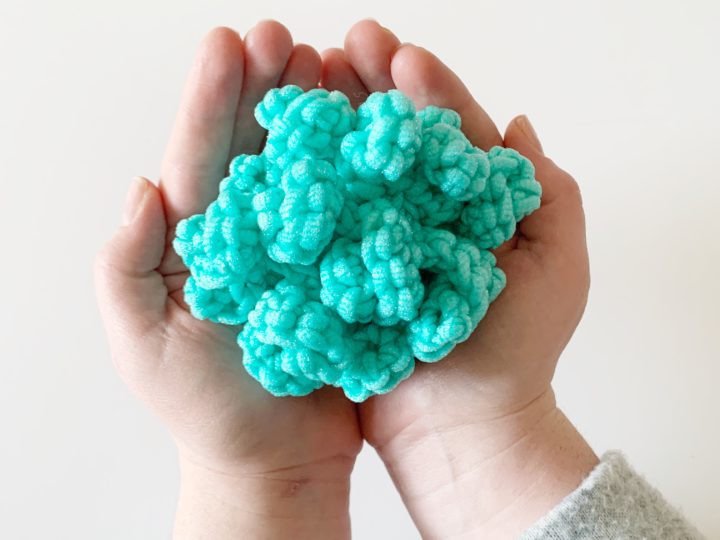 Haley's College Scrubby