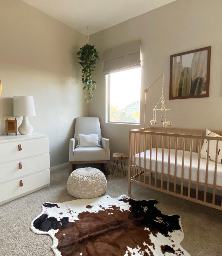 Crochet Cactus Baby Blanket Daisy Farm Crafts