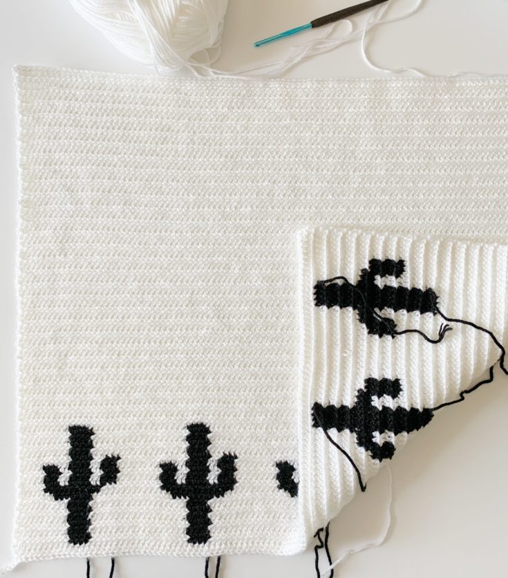 Crochet Cactus Baby Blanket Daisy Farm Crafts