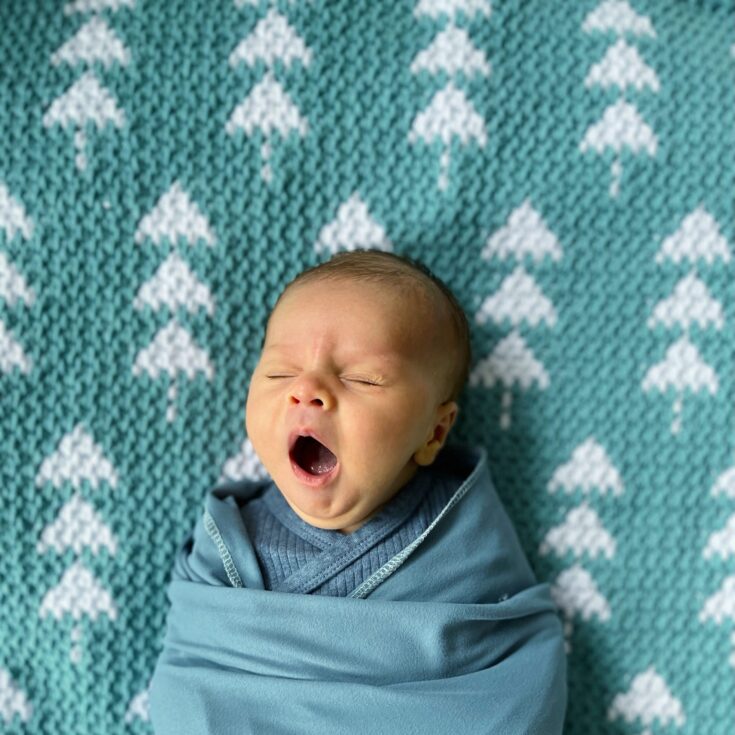 Image for Crochet Winter Trees Baby Blanket