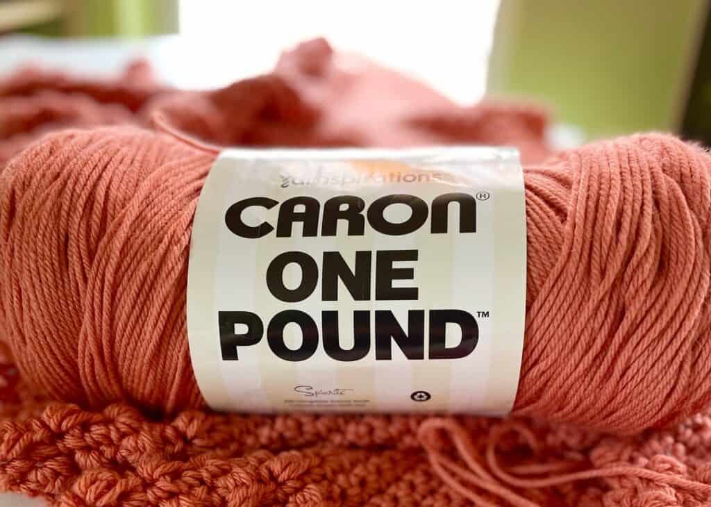 one skein of Caron One Pound