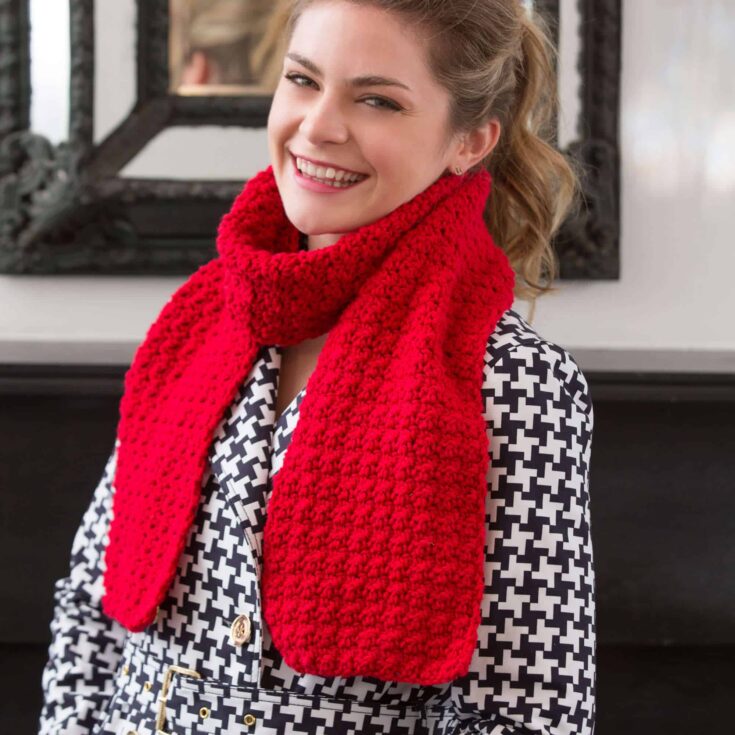 Image for Red Heart Berry Stitch Scarf | Yarnspirations