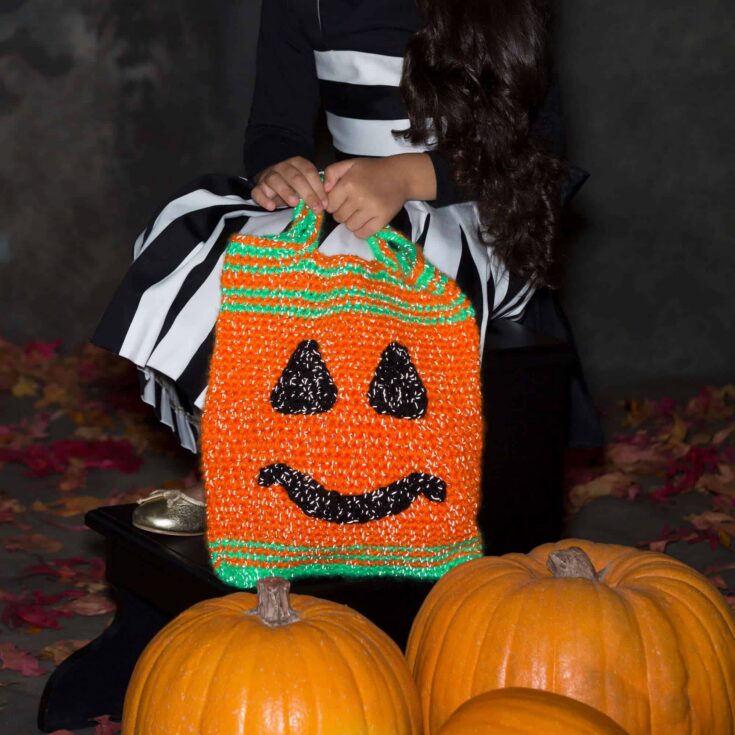 Image for Free Easy Red Heart Pumpkin Face Bag Crochet Pattern