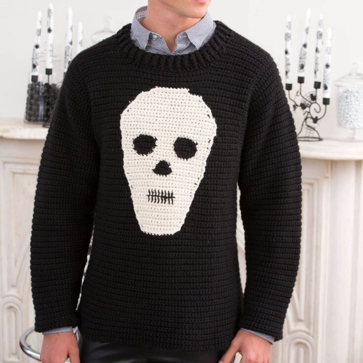 Image for Free Red Heart Skull Sweater Crochet Pattern