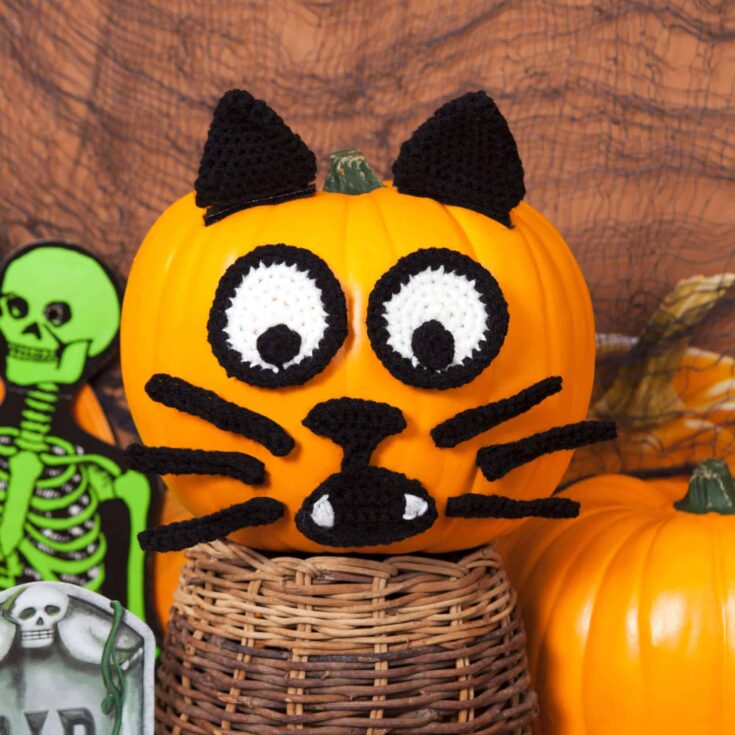 Image for Free Easy Red Heart Spooky Cat Pumpkin Crochet Pattern