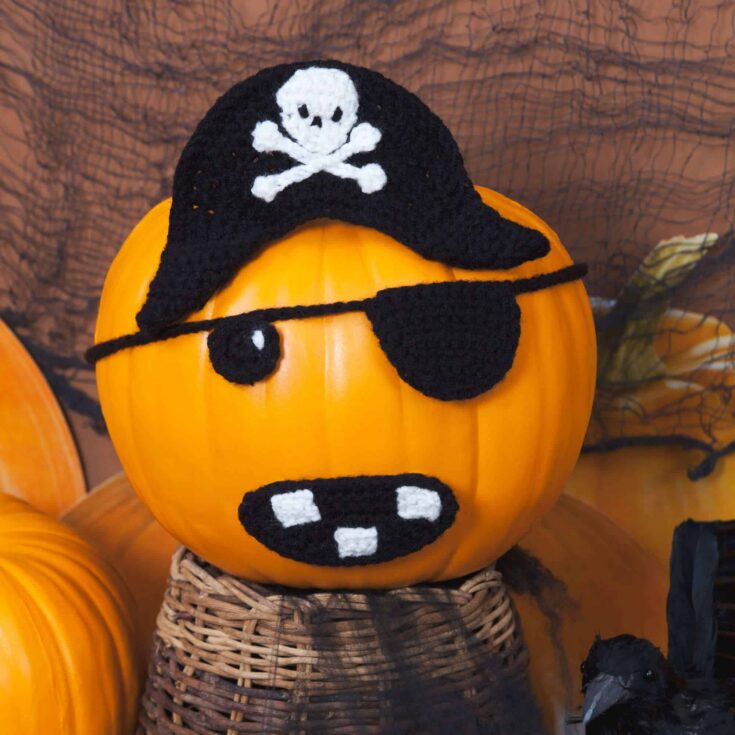 Image for Free Easy Red Heart Jolly Roger Pirate Pumpkin Crochet Pattern