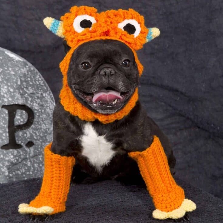 Image for Red Heart Dog Monster Costume Crochet Pattern
