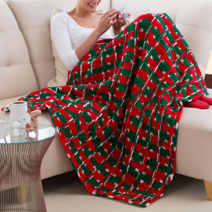 Image for Red Heart Crochet Joyous Throw